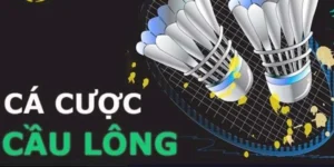 Hướng Dẫn Chơi Cá Cược Cầu Lông Tại ONBET Cho Người Mới