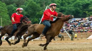 Tìm Hiểu Đua Ngựa ONBET: Trải Nghiệm Cá Cược Đỉnh Cao